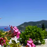 Aspalathus Red, Pool And Panoramic Views To Fulfil Your Aegean Memories
