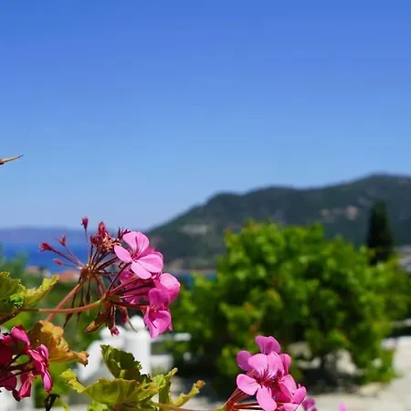 Aspalathus Red, Pool And Panoramic Views To Fulfil Your Aegean Memories