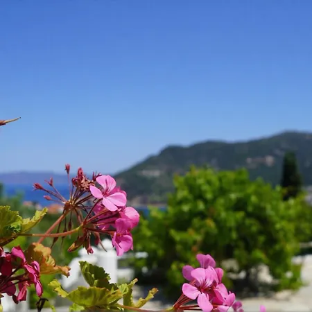 Aspalathus Red, Pool And Panoramic Views To Fulfil Your Aegean Memories *