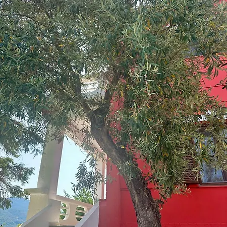 Aspalathus Red, Pool And Panoramic Views To Fulfil Your Aegean Memories Skopelos
