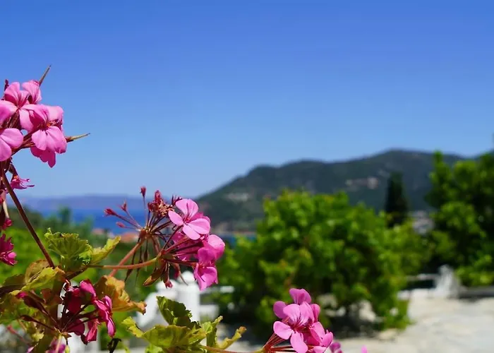 Aspalathus Red, Pool And Panoramic Views To Fulfil Your Aegean Memories